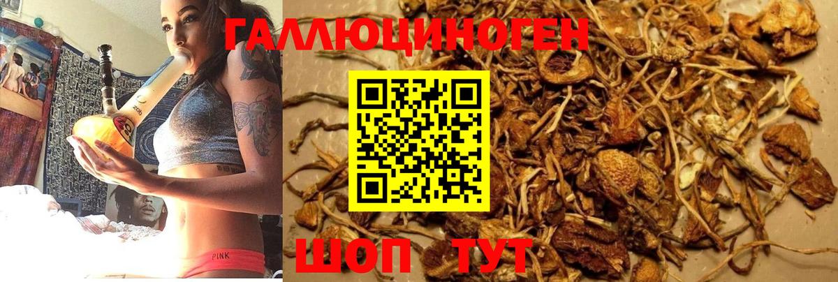 Галлюциногенные грибы Psilocybe  Галлюциногенные грибы ЛСД  Вход с VPN  закладки  Белово 